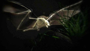 Still from Moment of Impact: Jungle