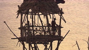 Still from It's a Turtle?!