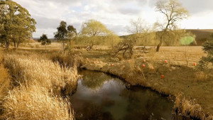 Still from Hope Springs