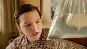 Still from A Dog, a Squirrel, and a Fish Named Fish
