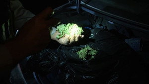 Still from Hefty Amounts
