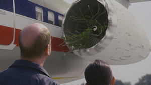 Still from Tree Strike Terror