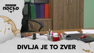 Still from 2390 Divlja je to zver