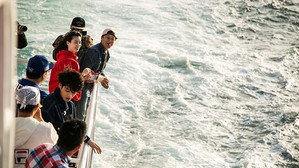 Still from Spring Field Trip (3)