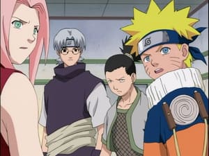 Still from Genin Takedown! All Nine Rookies Face Off!