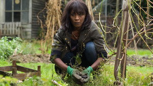 Still from 4965