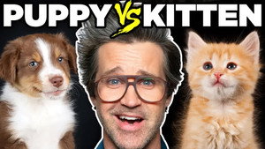 Still from Which is Cuter?