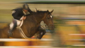 Still from Horse and Rider