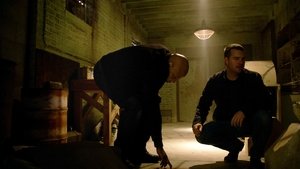 Still from Forest for the Trees
