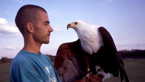 Still from Extraordinary Birds