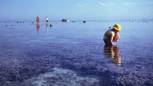 Still from Into Hot Water