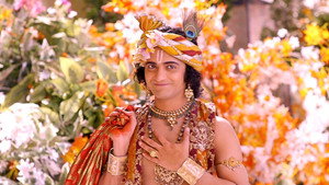 Still from What Is Krishna's New Leela?