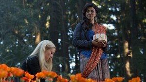Still from The Ungrateful Dead (3)
