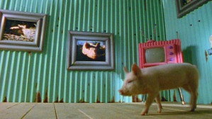 Still from The Joy of Pigs