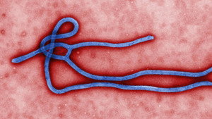 Still from Hunting Boko Haram / Ebola Outbreak