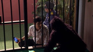 Still from A Chimpanzee Attacks Vibhuti