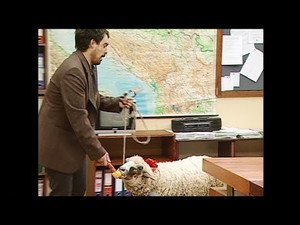 Still from 452 Džemperi