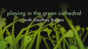 Still from Playing in the Green Cathedral