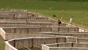 Still from The Martyr Approach