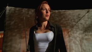 Still from The Sixth Extinction (2)