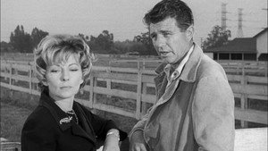 Still from The Case of the Fickle Filly
