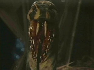 Still from Snakedance (4)