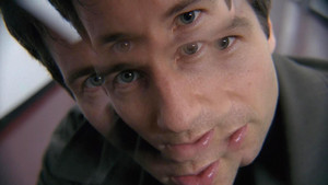 Still from War of the Coprophages