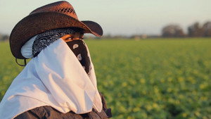 Still from Rape in the Fields