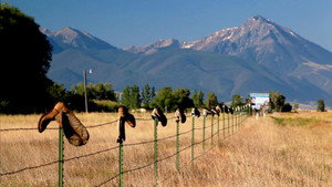 Still from Big Sky, Big Money