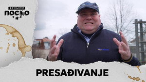 Still from 2367 Presađivanje