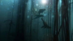 Still from Golden Seals of the Skeleton Coast