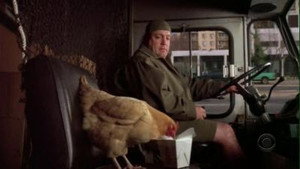 Still from Offensive Fowl