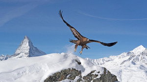 Still from The Alps: Winter's Fortress