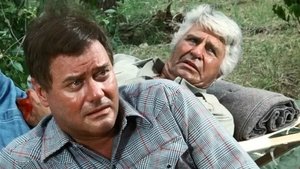 Still from The Dove Hunt