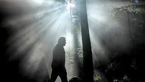 Still from Cosmic Dawn: The Real Moment of Creation