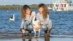 Still from Birds of a Feather