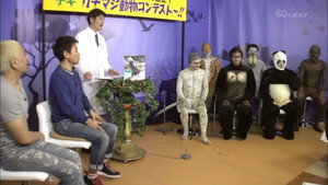 Still from #1283 - Animal Acting Contest