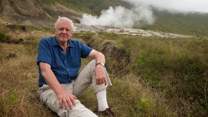 Still from Attenborough’s Life Journey