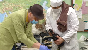 Still from 1380 Pamet u glavu