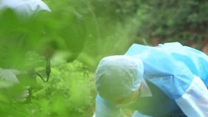 Still from Episode 11