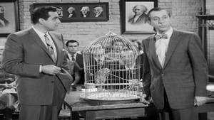 Still from The Case of the Perjured Parrot