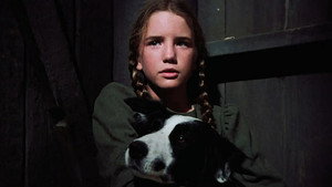 Still from The Wolves