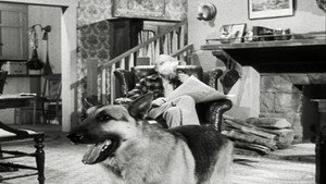 Still from The Case of the Lazy Lover