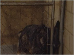 Still from Change for a Buck