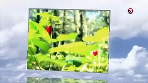 Still from Episode 7