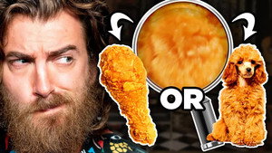 Still from Spot The Fake Food Challenge