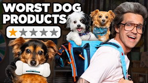 Still from Are These New Pet Products Worth It?