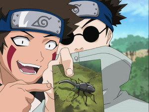 Still from What's the Difference? Don't All Insects Look Alike?
