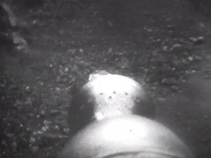 Still from The Krotons (3)