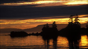 Still from A Mystery in Alaska